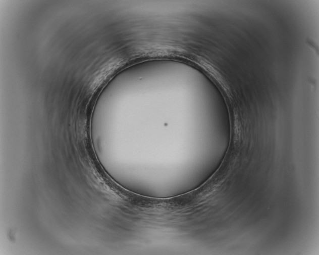 X0000100760485200807101731