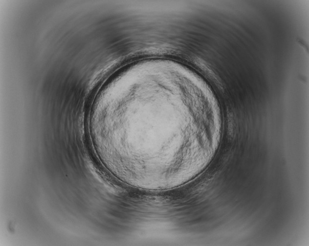 X0000100760486200807101731