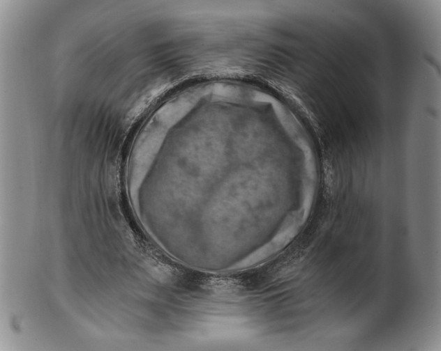 X0000100760487200807101731