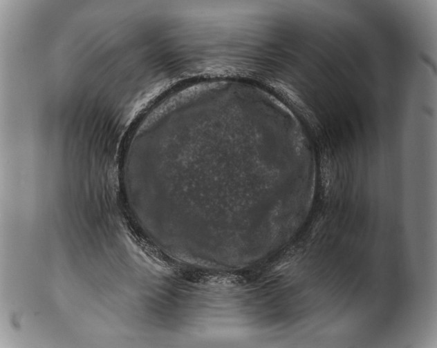 X0000100760488200807101731