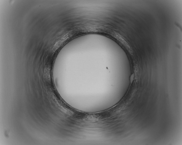 X0000100760489200807101731