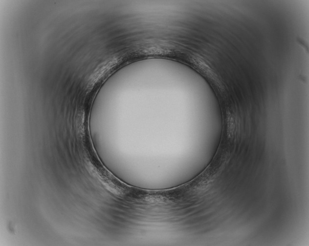 X0000100760490200807101731