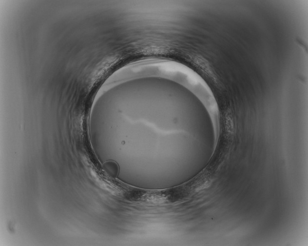 X0000100760491200807101731