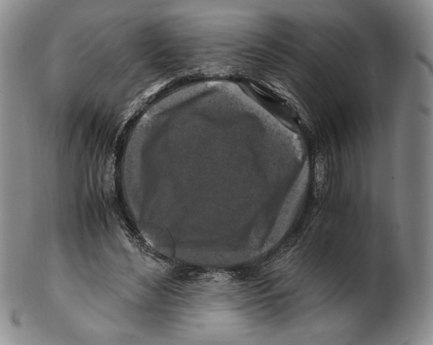 X0000100760492200807101731