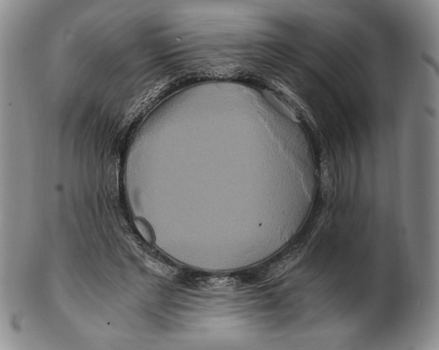 X0000100760493200807101731