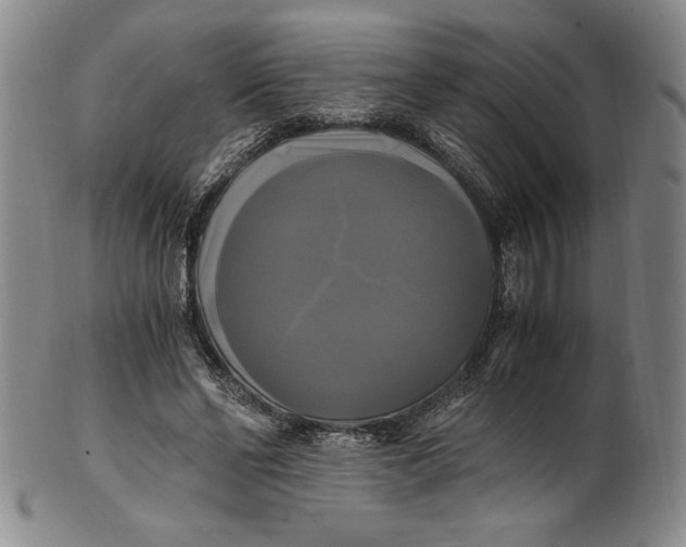 X0000100760494200807101731