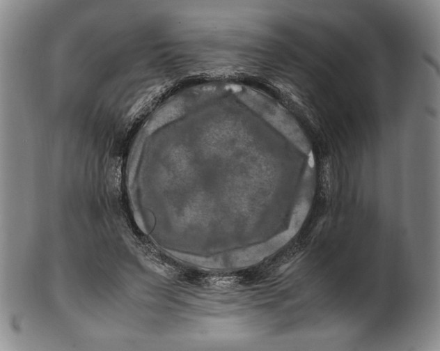 X0000100760495200807101731