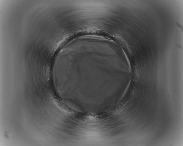 X0000100760496200807101731