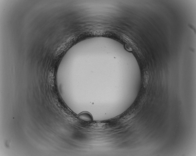 X0000100760497200807101731