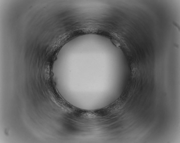 X0000100760498200807101731