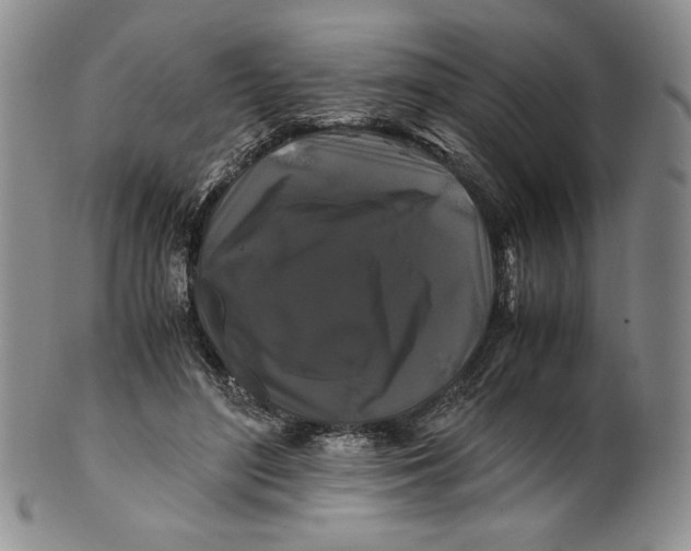 X0000100760500200807101731