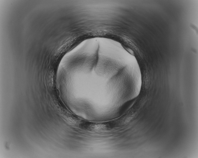 X0000100760501200807101731