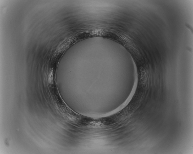 X0000100760502200807101731