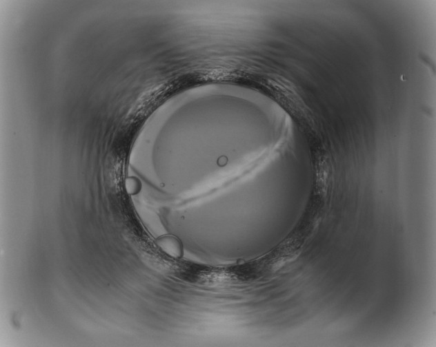 X0000100760503200807101731
