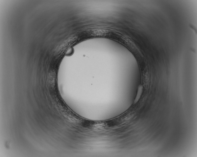 X0000100760505200807101731
