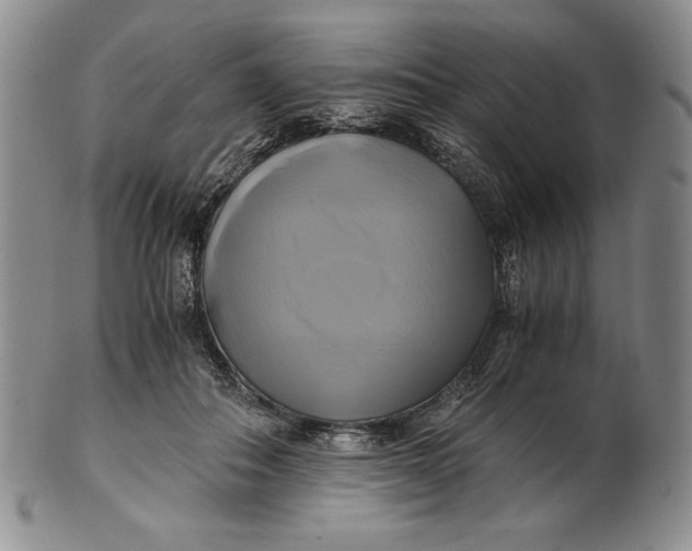 X0000100760506200807101731