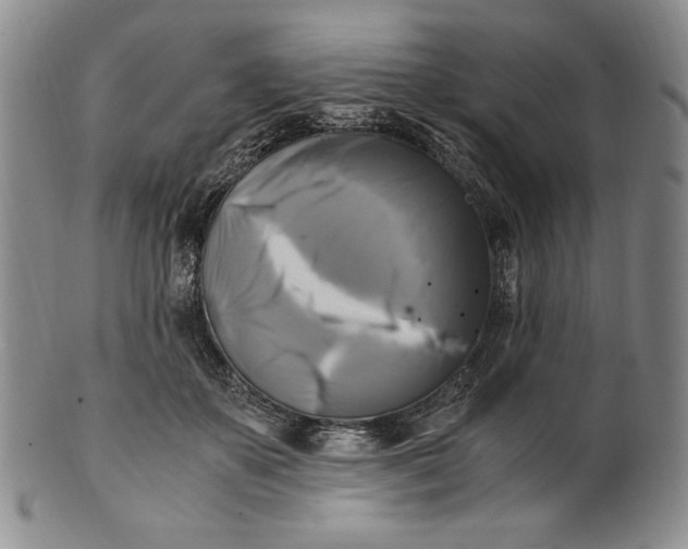 X0000100760507200807101731