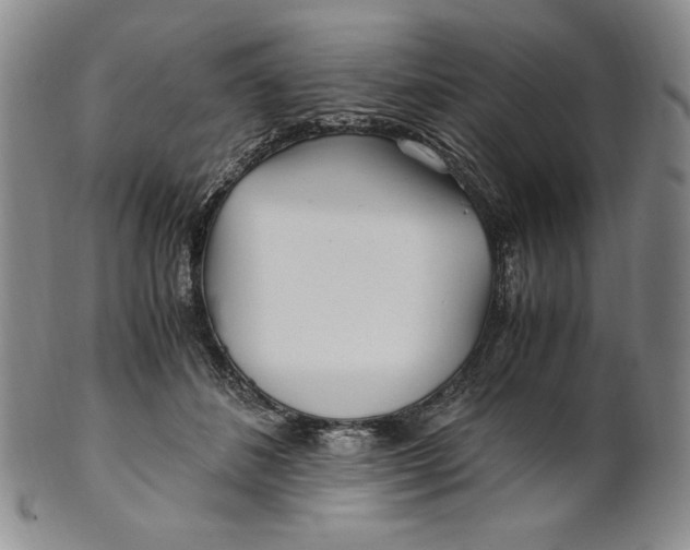 X0000100760508200807101731