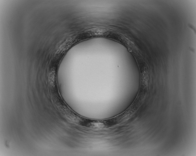 X0000100760509200807101731