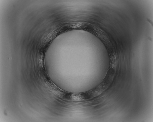 X0000100760510200807101731