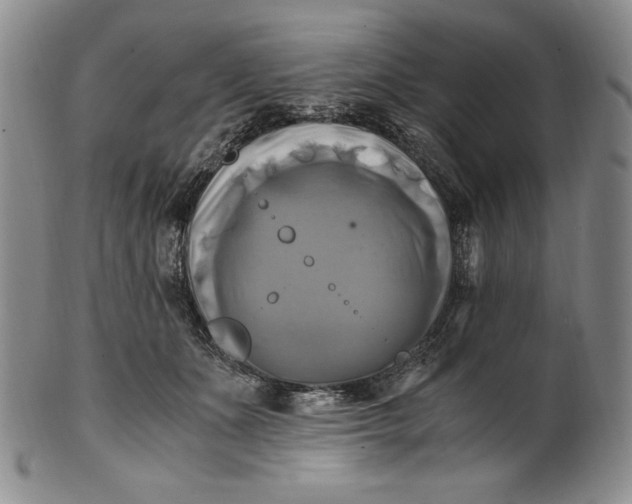 X0000100760511200807101731