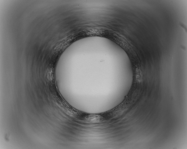 X0000100760514200807101731