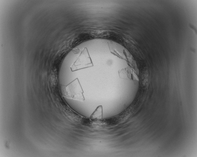 X0000100760515200807101731