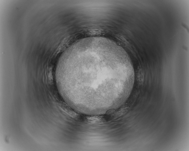 X0000100760516200807101731