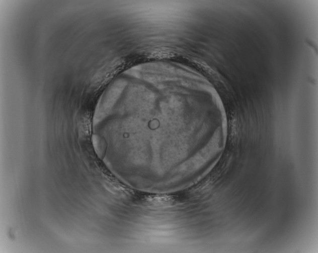 X0000100760517200807101731