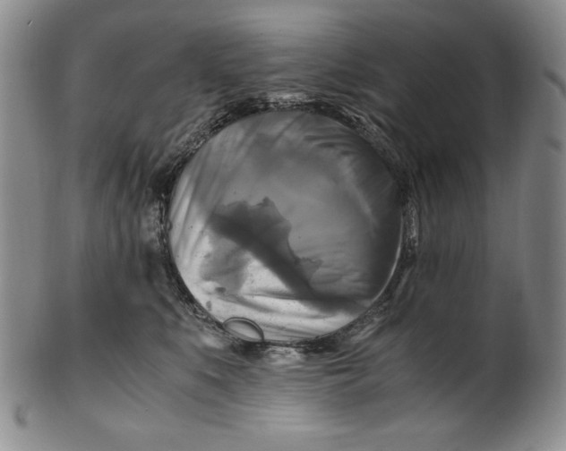 X0000100760519200807101731