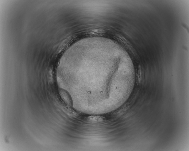 X0000100760520200807101731