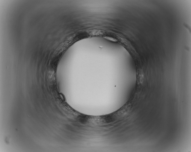 X0000100760521200807101731