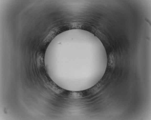 X0000100760522200807101731