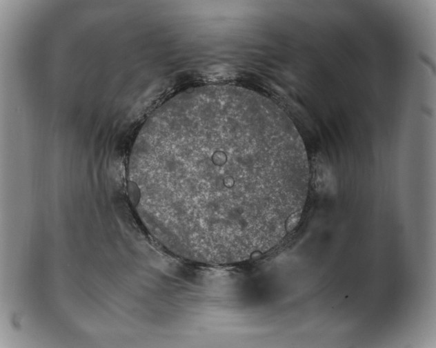X0000100760523200807101731