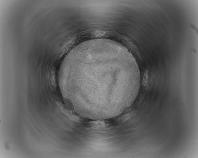 X0000100760524200807101731