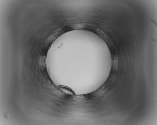 X0000100760525200807101731