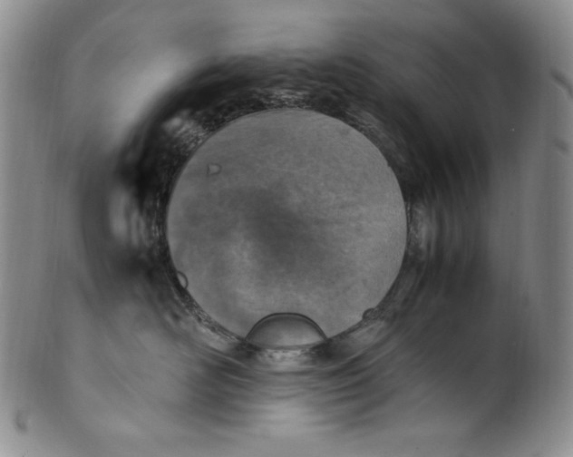 X0000100760526200807101731