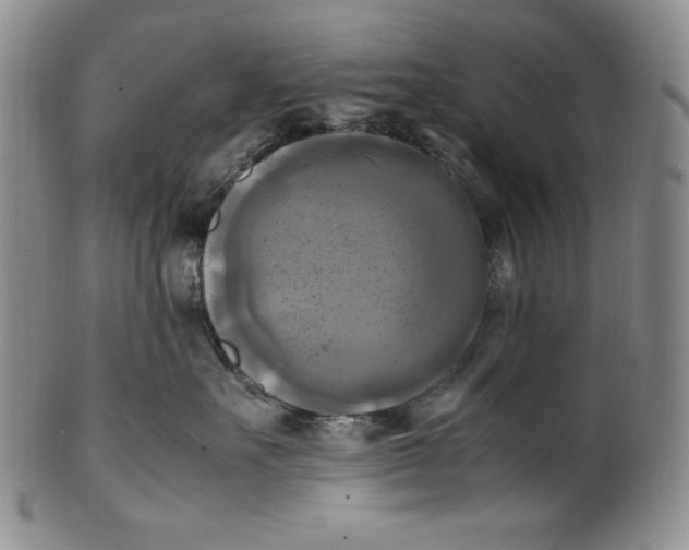 X0000100760527200807101731