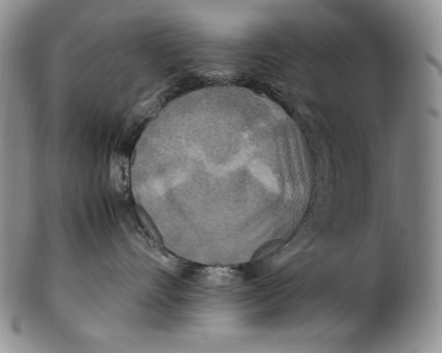 X0000100760528200807101731
