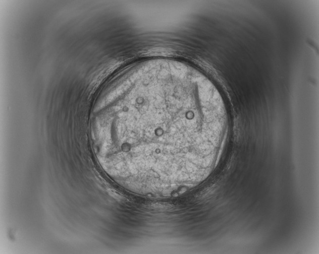 X0000100760529200807101730