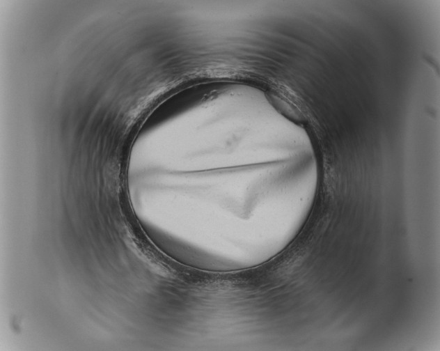 X0000100760530200807101730