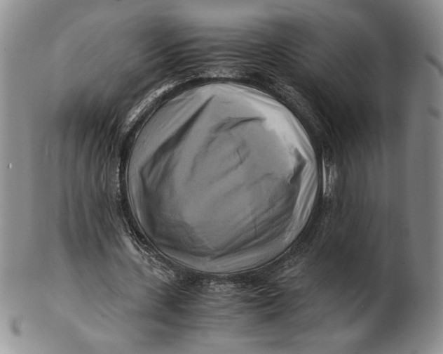 X0000100760531200807101730