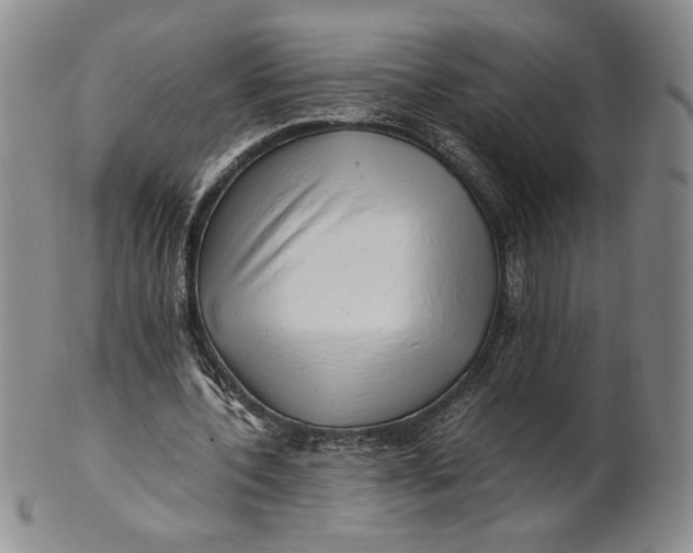 X0000100760532200807101730