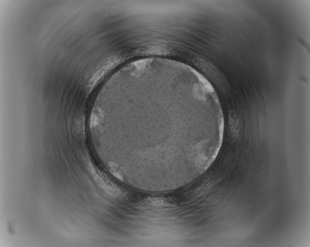 X0000100760534200807101730
