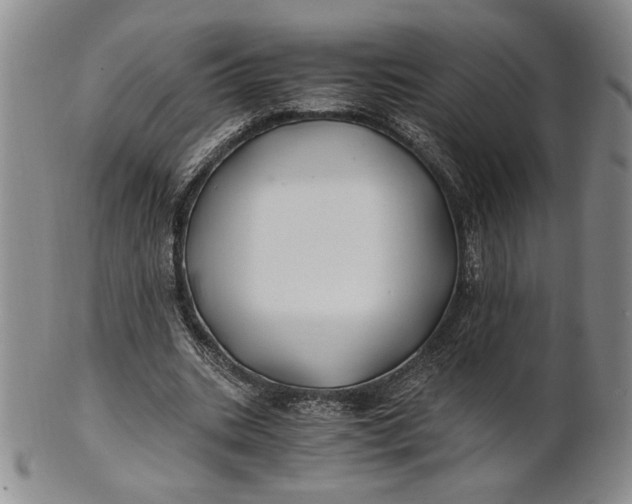 X0000100760535200807101730