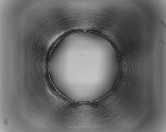X0000100760536200807101730