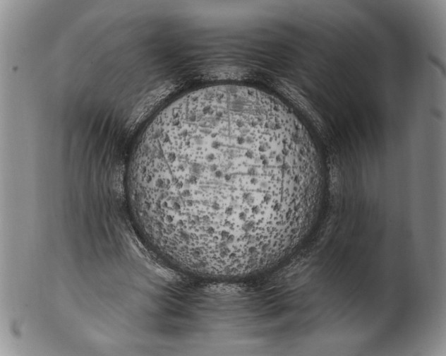 X0000100760537200807101730