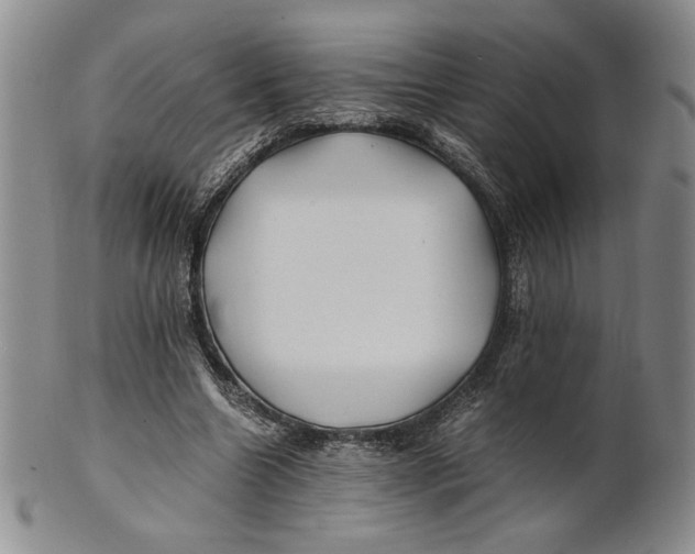 X0000100760538200807101730