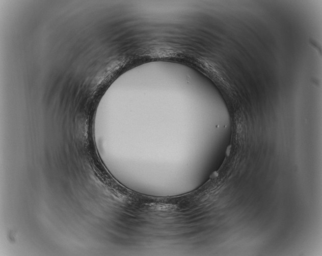 X0000100760539200807101730