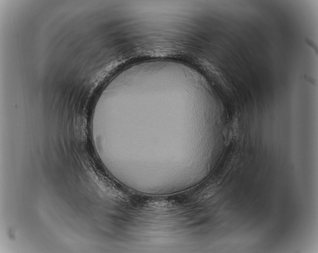 X0000100760540200807101730